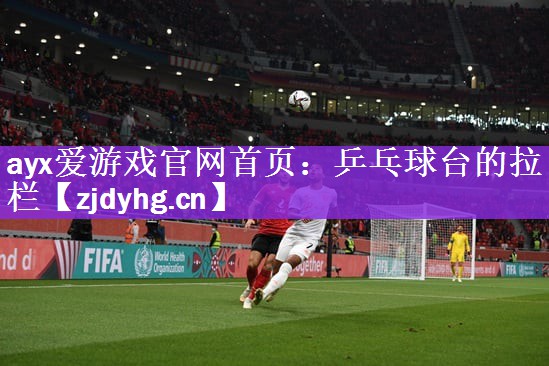 乒乓球台的拉栏