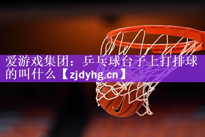 乒乓球台子上打排球的叫什么