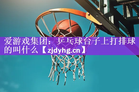 乒乓球台子上打排球的叫什么