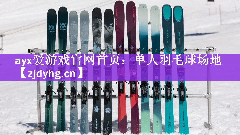 单人羽毛球场地