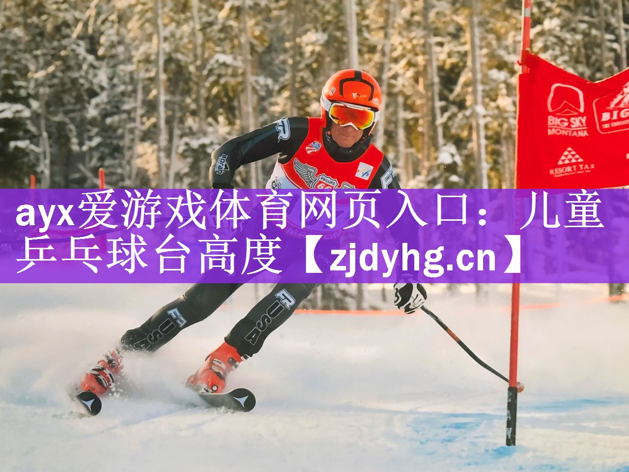 儿童乒乓球台高度