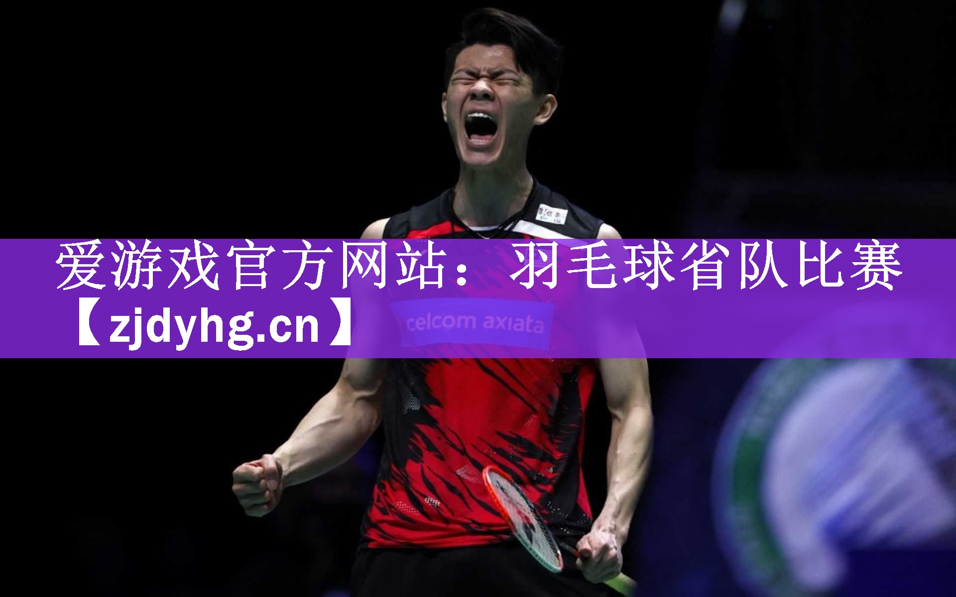 羽毛球省队比赛