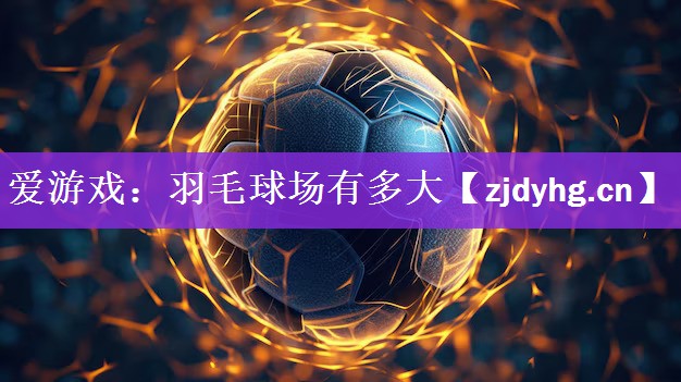 羽毛球场有多大