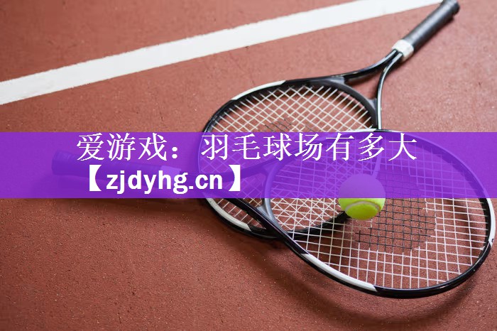 羽毛球场有多大