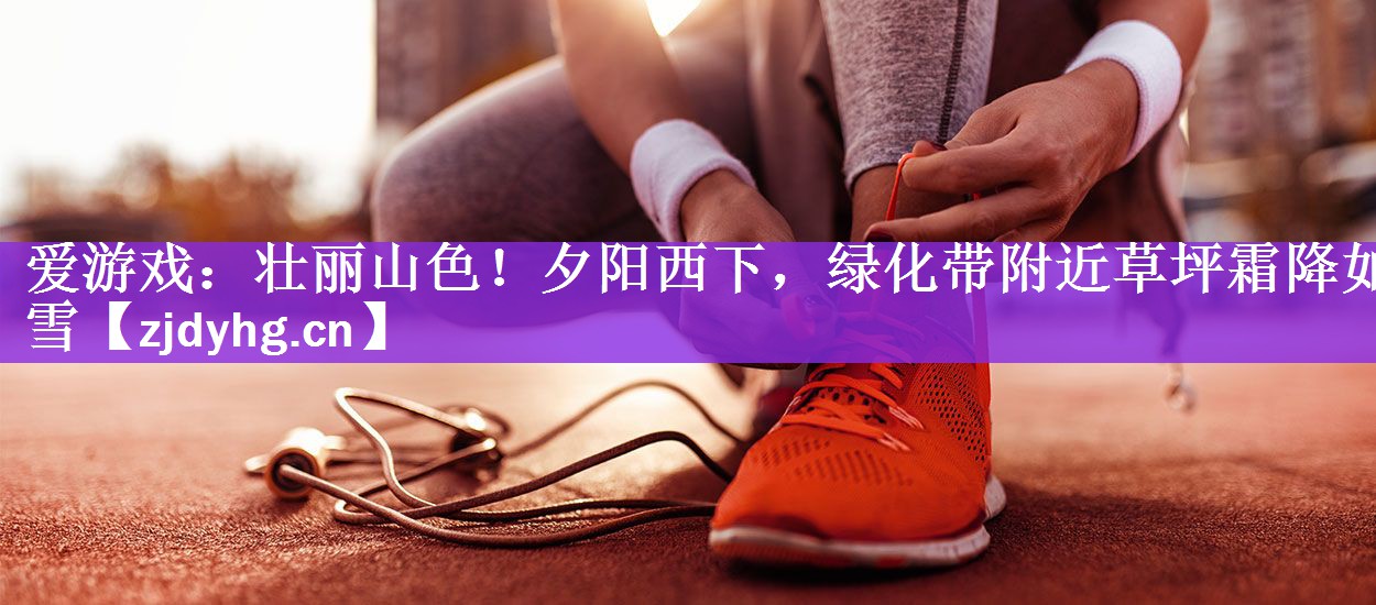壮丽山色！夕阳西下，绿化带附近草坪霜降如雪