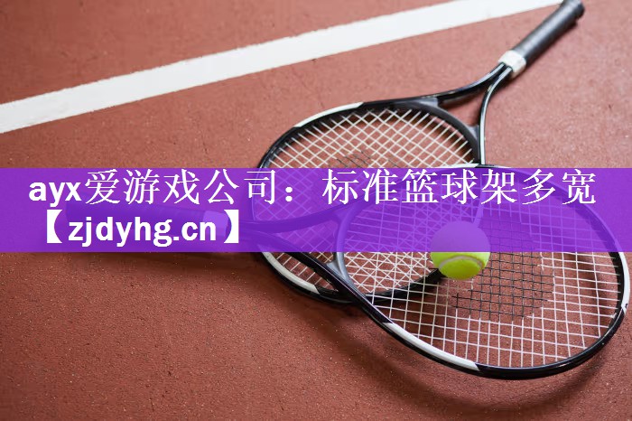 标准篮球架多宽