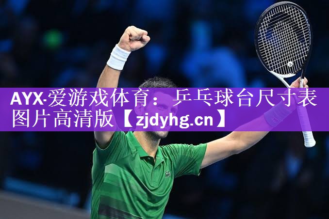 乒乓球台尺寸表图片高清版