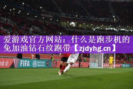什么是跑步机的免加油钻石纹跑带