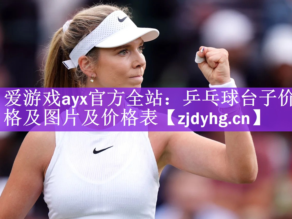 乒乓球台子价格及图片及价格表