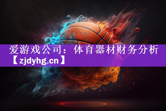 体育器材财务分析